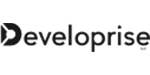 Web Development Developrise