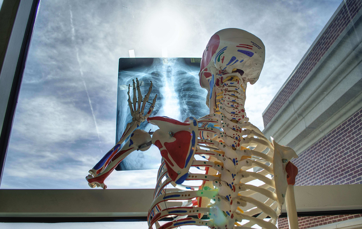 The significance of a website within the medical/pharmaceutical sector intro image.