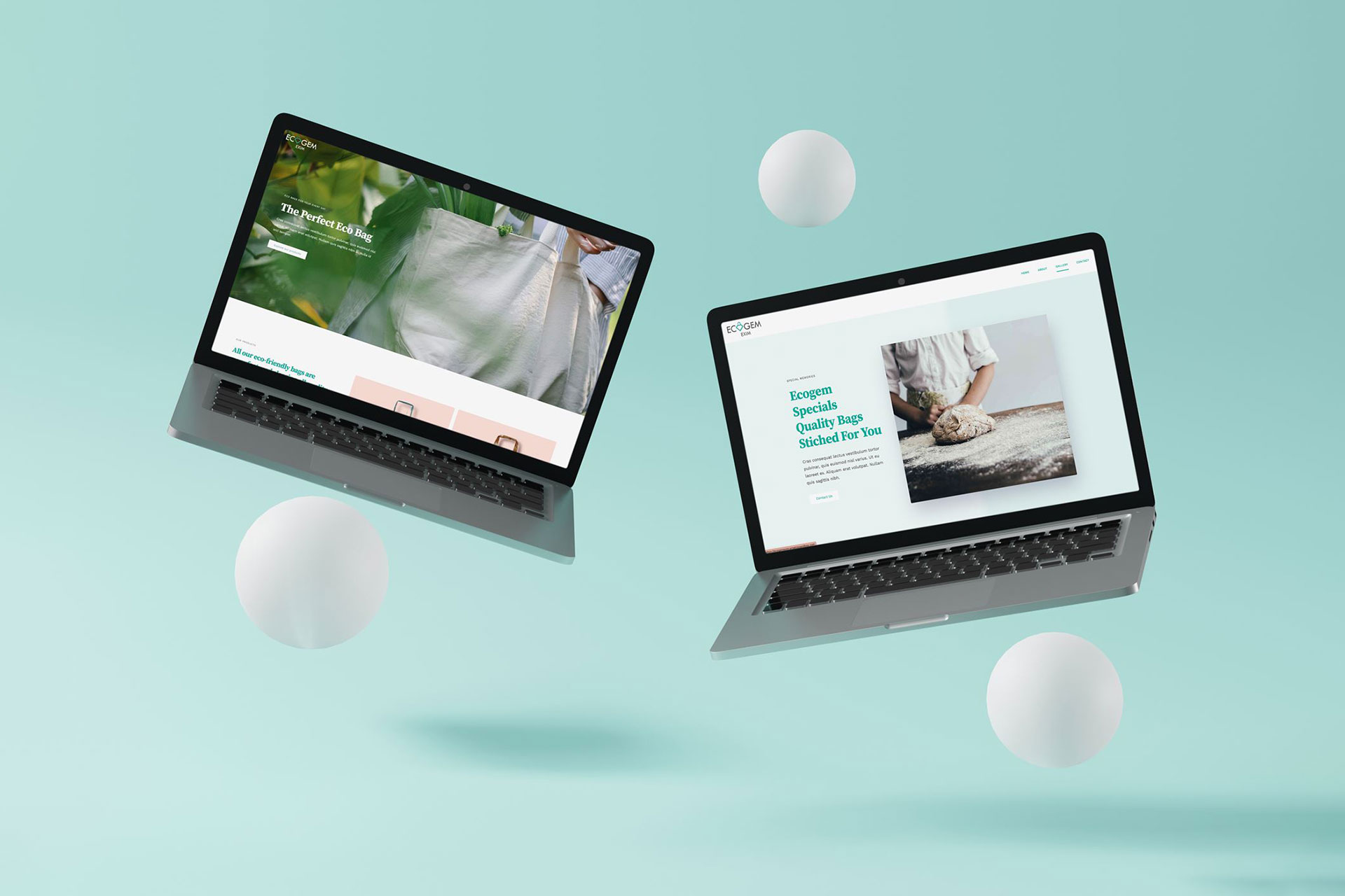 Ecogem Exim Website Development