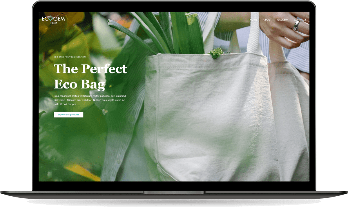 Ecogemexim Web Development